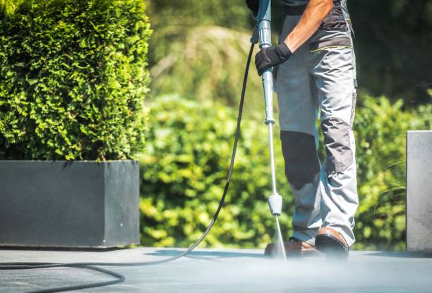 Best Fence Cleaning  in Earlvle, IL