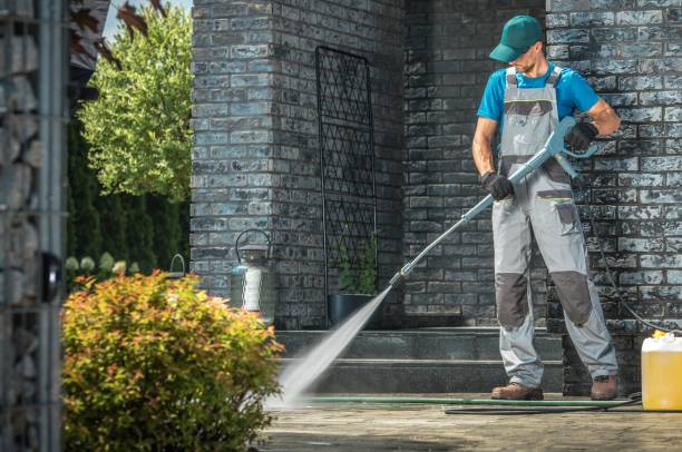 Best Animal Enclosure Cleaning  in Earlvle, IL