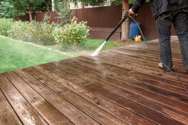 Best Pre-Holiday Cleaning  in Earlvle, IL