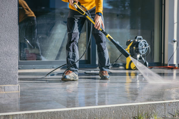 Best Dumpster Area Cleaning  in Earlvle, IL